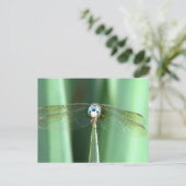 Drachenfliege nach oben postkarte (Stehend Vorderseite)