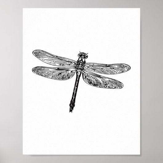 Drachenfliege Poster (Vorne)