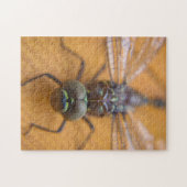 Drachenfliege Puzzle (Horizontal)