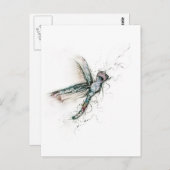 Drachenfliegen Postkarte (Vorne/Hinten)