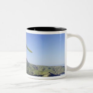 Drachenflieger, Otago-Halbinsel, bei Dunedin, Zweifarbige Tasse