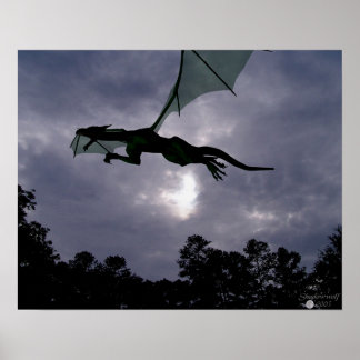 Drachenflug Poster