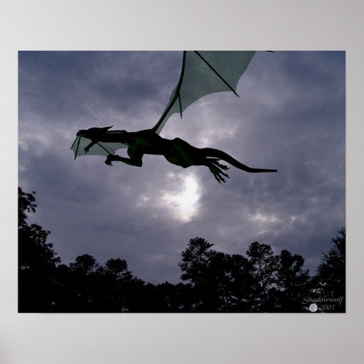 Drachenflug Poster (Vorne)