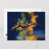 Drachenflug Postkarte (Vorne/Hinten)