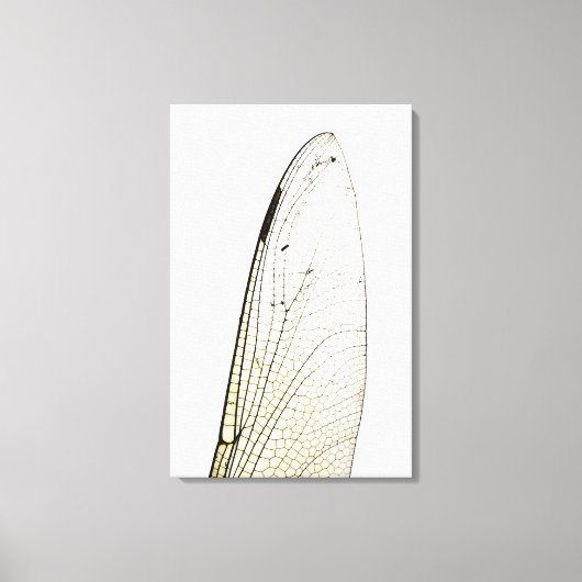 Drachenflügel Leinwanddruck (Vorderseite)