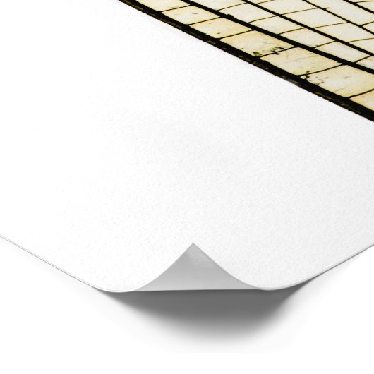 Drachenflügel Poster (Ecke)