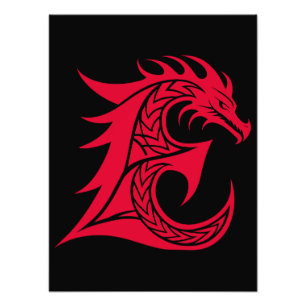 Drachengestalteter Buchstabe E, Drachenschrift, Mo Fotodruck