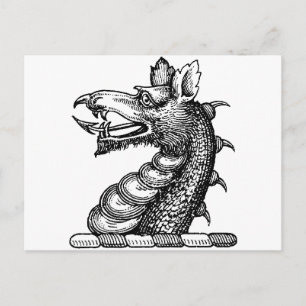 Drachenkleidung 9 postkarte