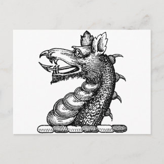 Drachenkleidung 9 postkarte