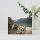 Drachenknochen Postkarte (Stehend Vorderseite)