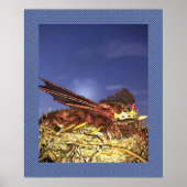 Drachenkönig Poster (Vorne)