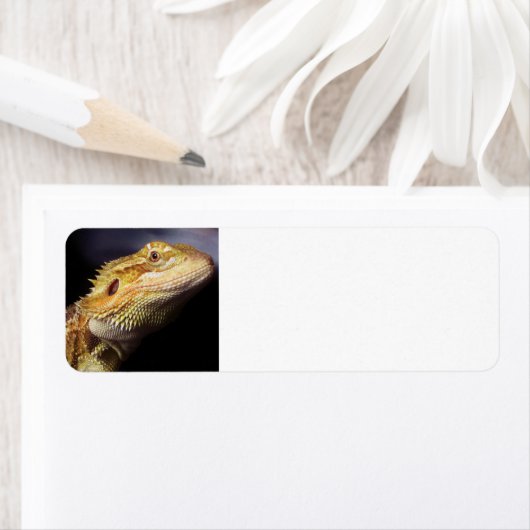 Drachenkopf 2 (Insitu)