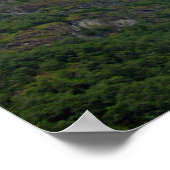 Drachenkopf 2 poster (Ecke)