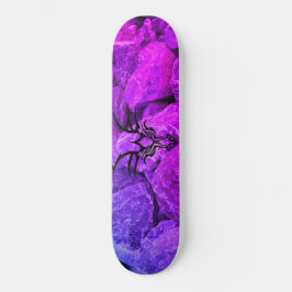 Drachenkopf, Skateboard