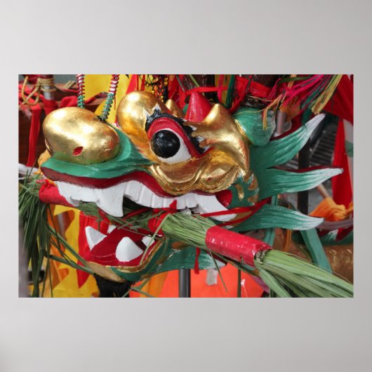 Drachenkopfstück Poster (Vorne)