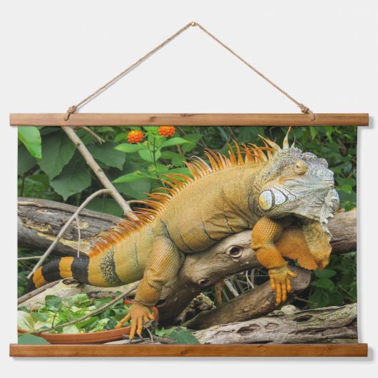 Drachenledereidechse Wandteppich Mit Holzrahmen (Vorne)
