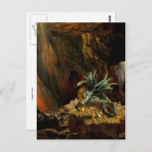 Drachenlüftkarte Postkarte (Vorne/Hinten)