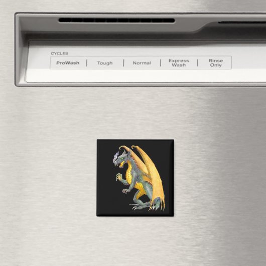 Drachenmagnet Magnet (In Situ (Geschirrspüler))