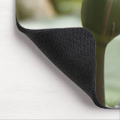 Drachenmuschel Mousepad (Ecke)