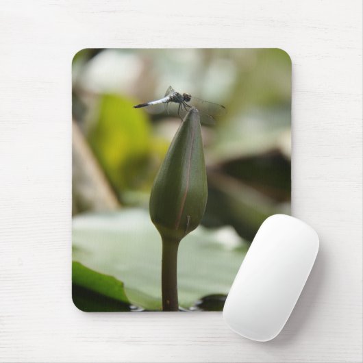 Drachenmuschel Mousepad (Mit Mouse)