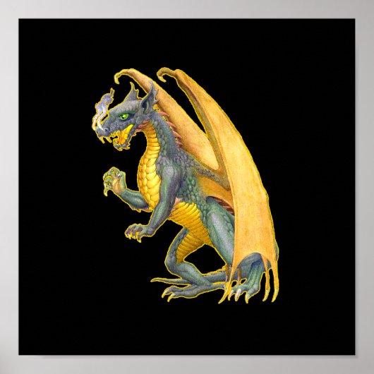 Drachenplakat für das Feueratmen Poster (Vorne)