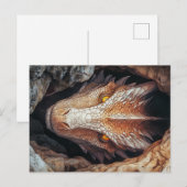 Drachens Blick Postkarte (Vorne/Hinten)