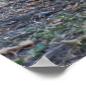Drachentrio Poster (Ecke)