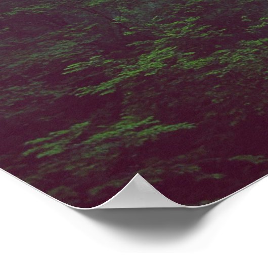 Drachenwald Fantasy Art Poster (Ecke)