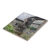 Drachetest Fliese (Seite)