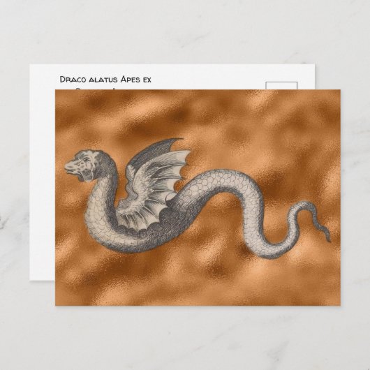 Draco alatus Apes ex Greuino Aldro Postkarte (Vorne/Hinten)