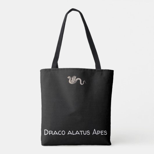 Draco alatus Apes ex Greuino Aldro Tasche (Rückseite)