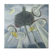 Draco-Fliegen Fliese (Vorderseite)