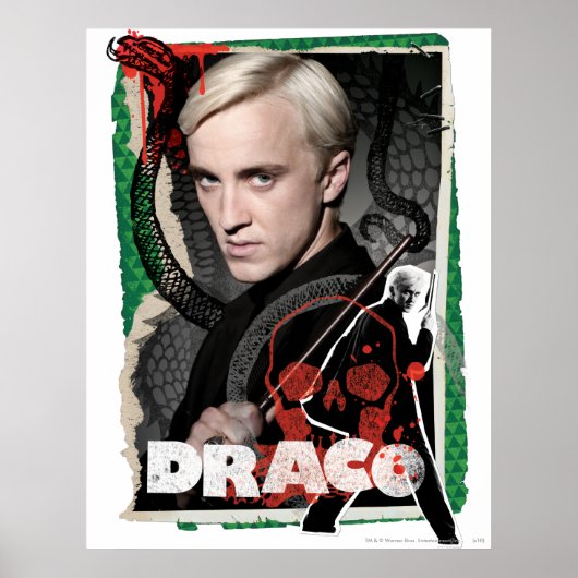 Draco Malfoy 6 Poster (Vorne)