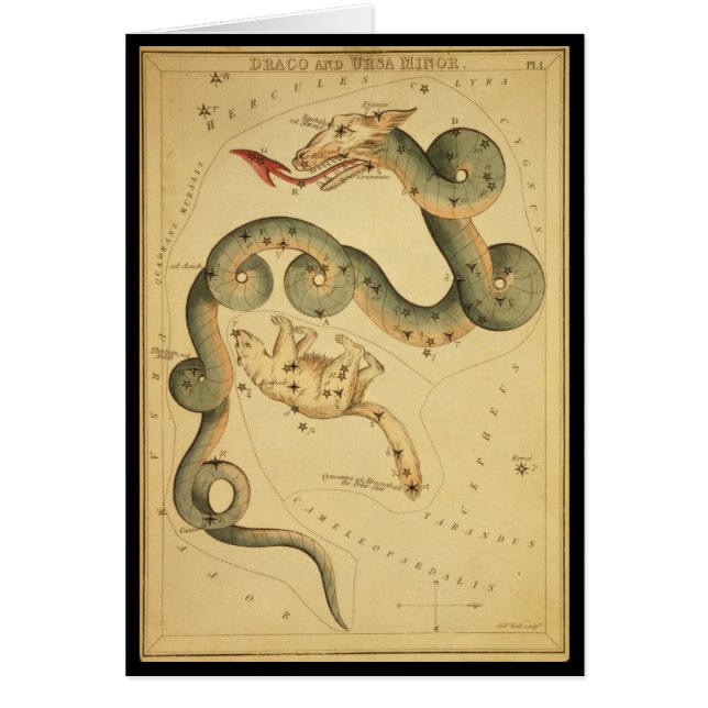 Draco und Ursa Minor (Vorne)