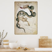 Draco und Ursa Minor Poster (Küche)