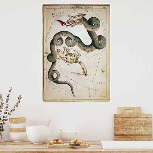 Draco und Ursa Minor Poster (Küche)