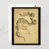 Draco und Ursa Minor Postkarte (Vorne/Hinten)