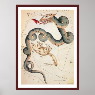 Draco und Ursa Minor von Sidney Hall Poster