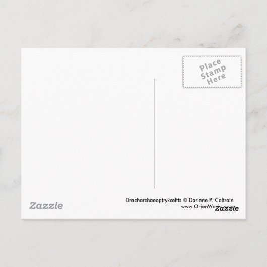 Dracoarchaeoptryxceltis Postkarte (Rückseite)