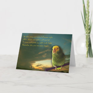 Dracula-Kalorien Karte