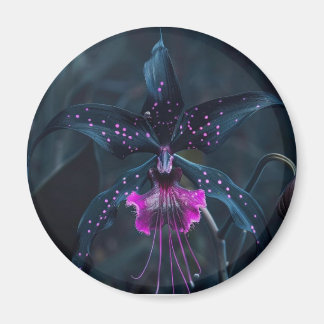 Dracula-Orchid-Magnet Magnet