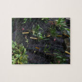 Dracula Orchid Puzzle (Horizontal)