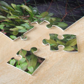 Dracula Orchid Puzzle (Seite)