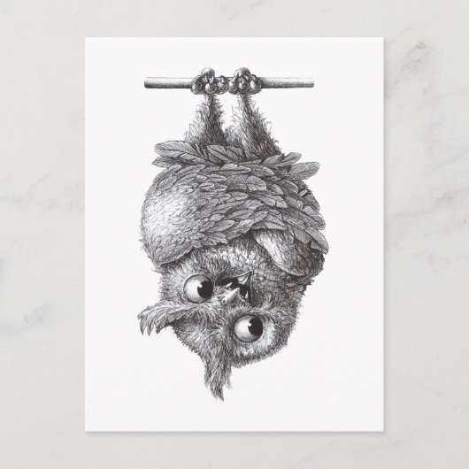 Dracula Owl Cool und so Beängstigend Postkarte (Vorderseite)