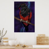 Dracula Parrot Poster (Küche)