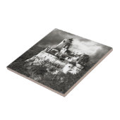 Draculas Schloss, Siebenbürgen Fliese (Seite)