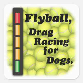 Drag Racing für Dogs Square Sticker