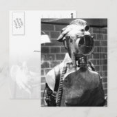 Dräger-Atemhelm mit Kopflampe Postkarte (Vorne/Hinten)