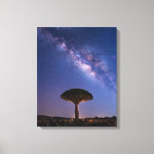 Dragon Blood Tree Milky Way Canvas  Ancient Nature Leinwanddruck (Vorderseite)