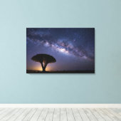 Dragon Blood Tree Milky Way Canvas  Ancient Nature Leinwanddruck (Insitu (Holzboden))